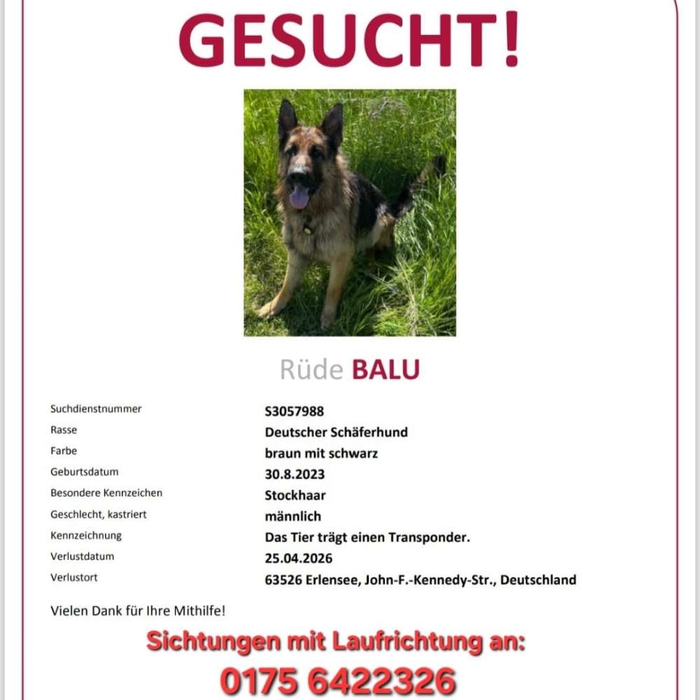 Suchmeldung-Balu-Profilbild