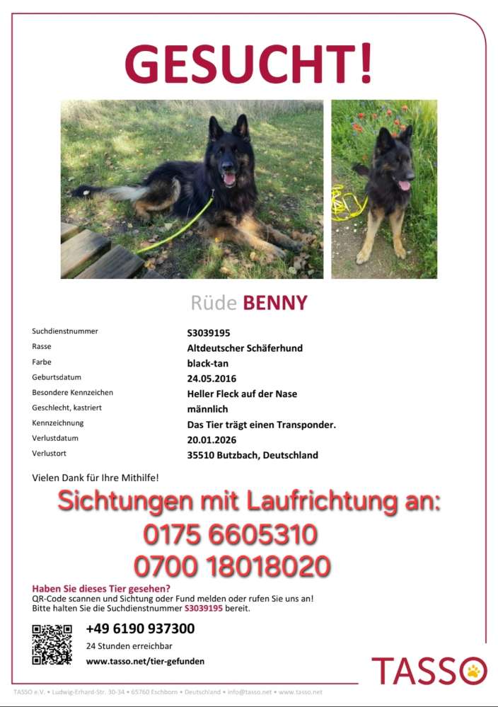 Suchmeldung-Benny-Profilbild