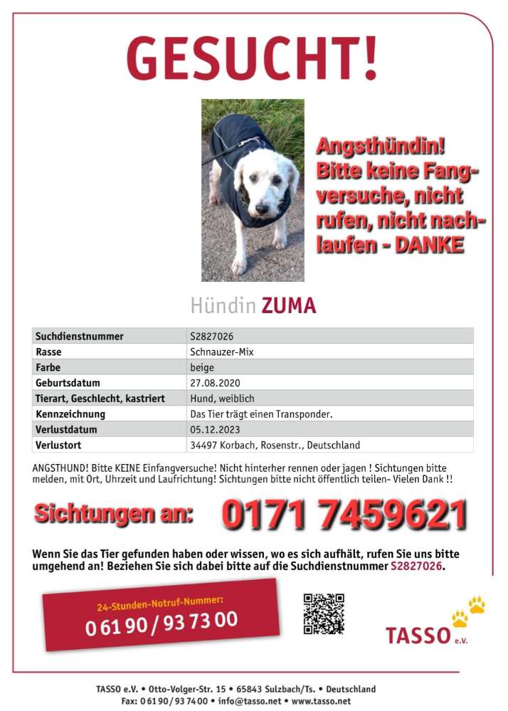 Suchmeldung-Zuma-Profilbild