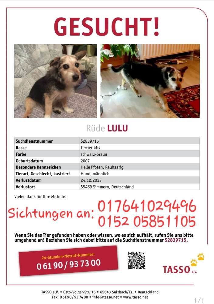 Suchmeldung-Lulu-Profilbild