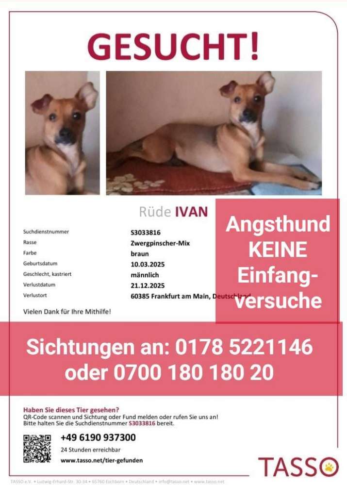 Suchmeldung-Ivan-Profilbild