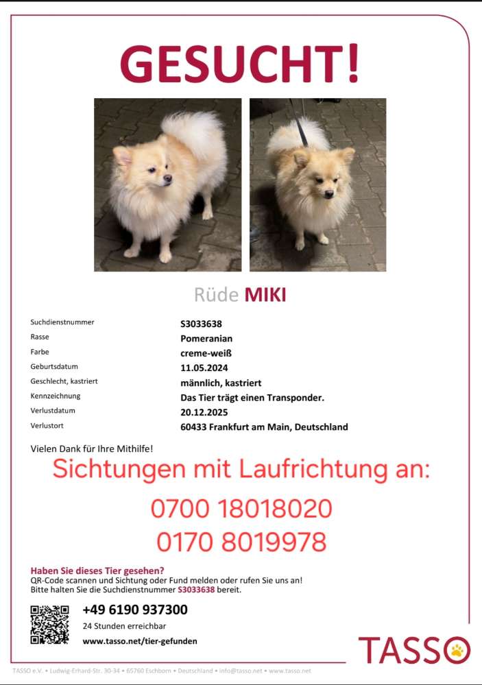 Suchmeldung-Miki-Profilbild