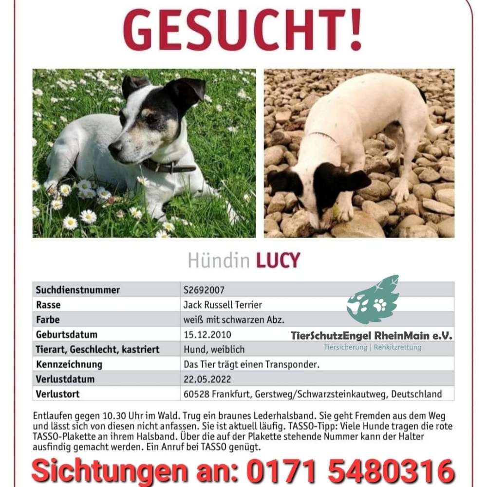Suchmeldung-Lucy-Profilbild