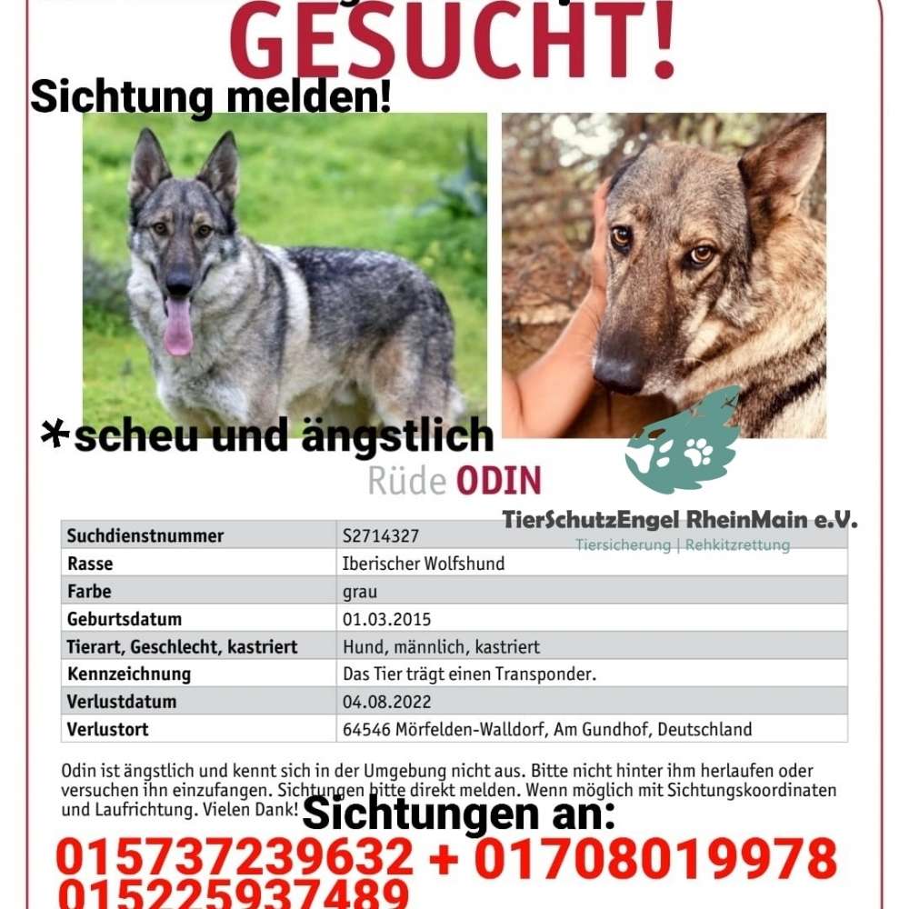 Suchmeldung-Odin-Profilbild