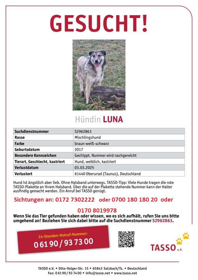 Suchmeldung-Luna-Profilbild