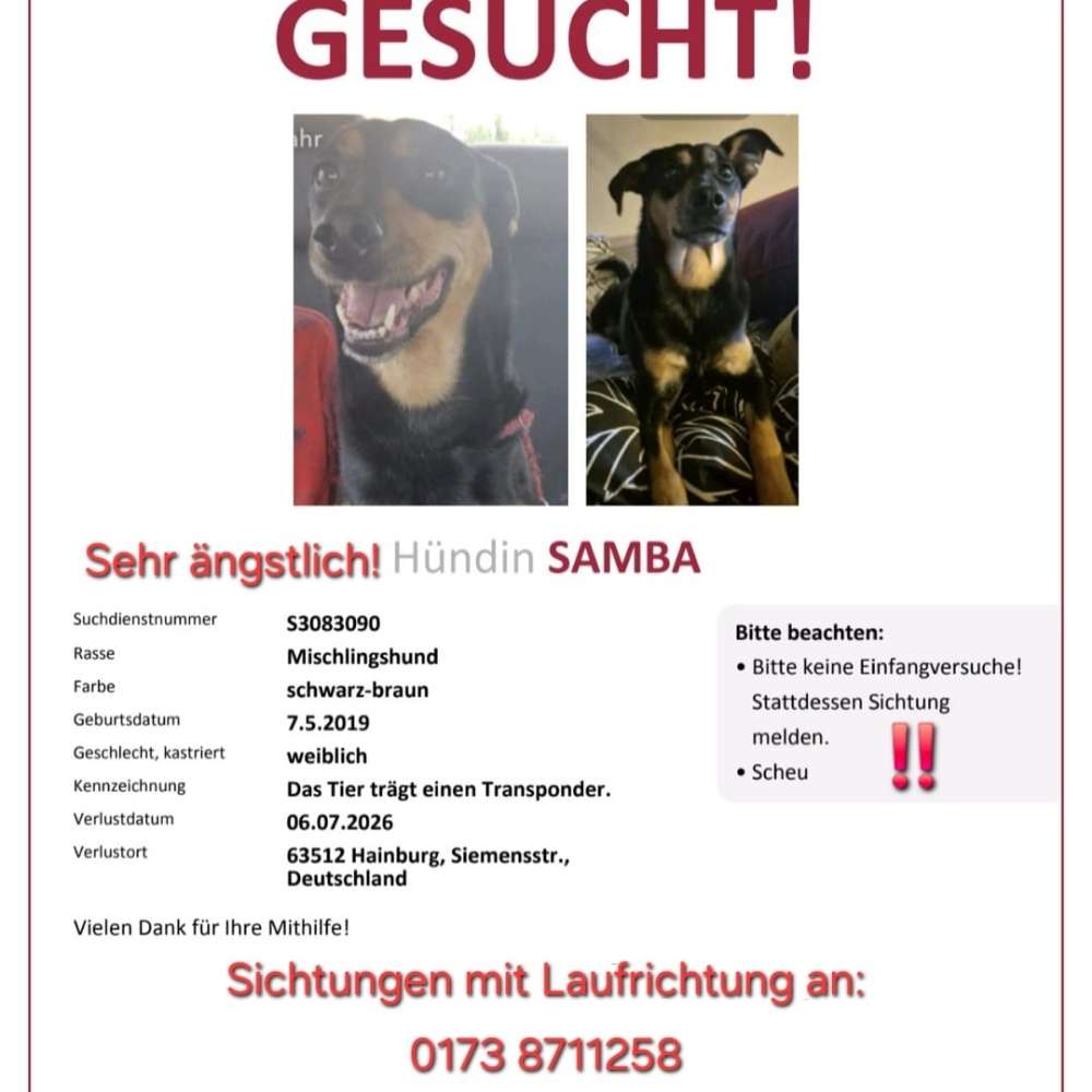 Suchmeldung-Samba-Profilbild