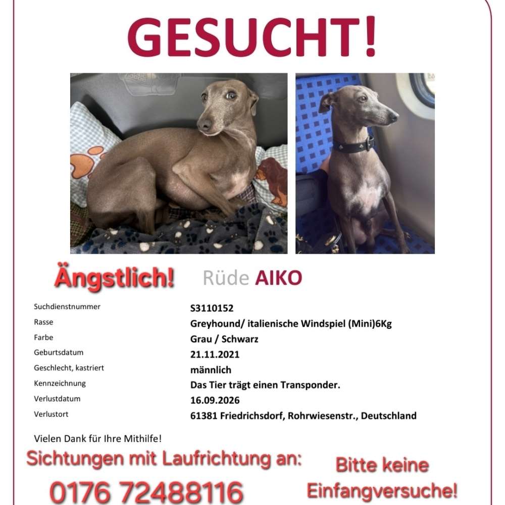 Suchmeldung-Aiko-Profilbild