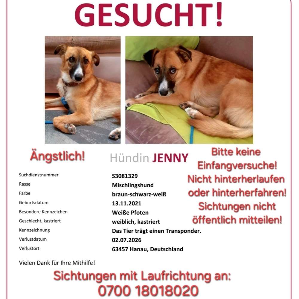 Suchmeldung-Jenny-Profilbild