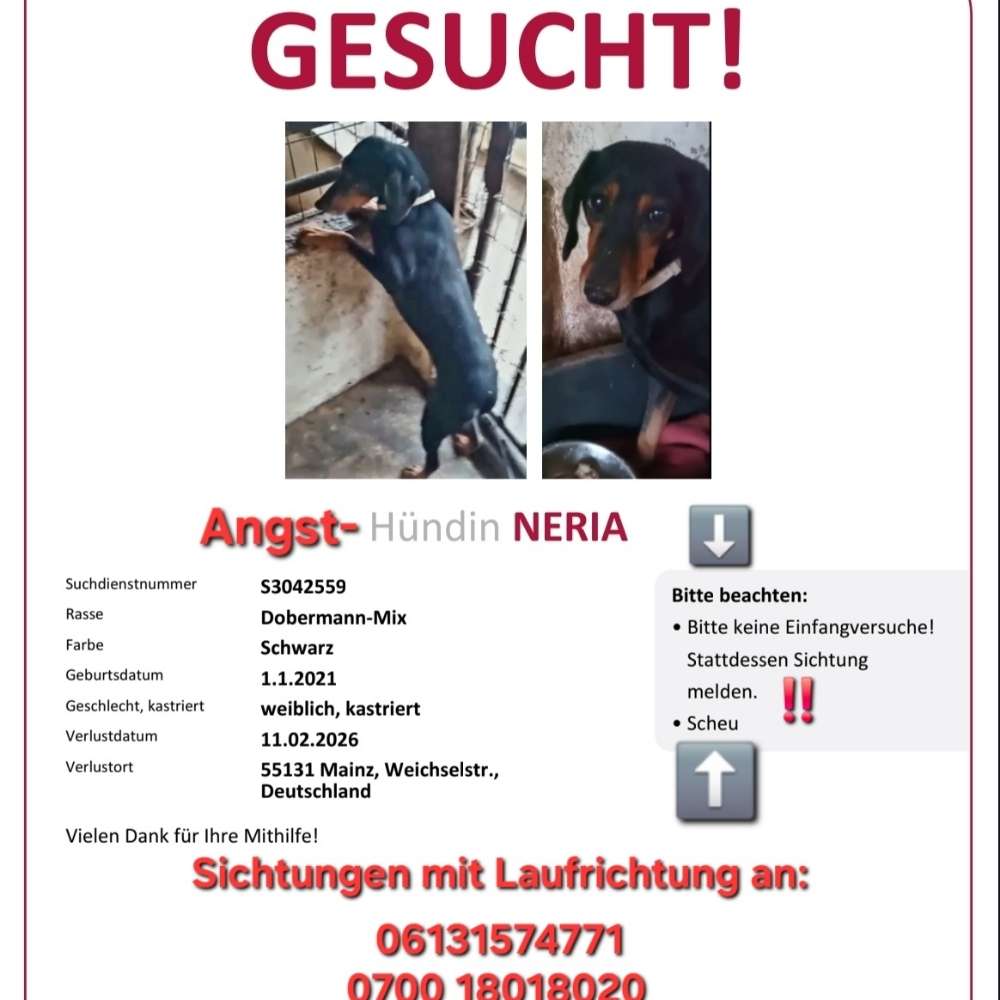Suchmeldung-Neria-Profilbild