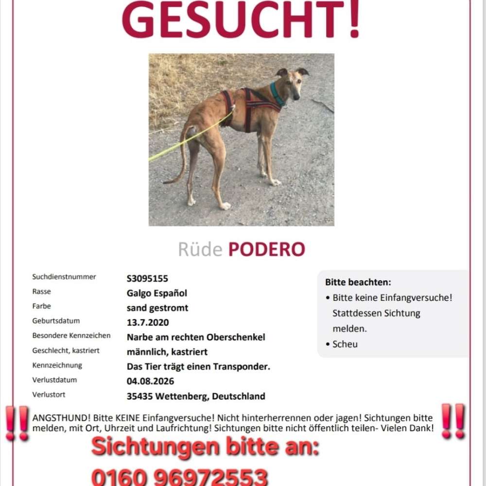 Suchmeldung-Podero-Profilbild