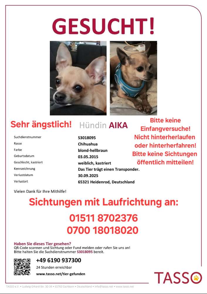 Suchmeldung-Aika-Profilbild