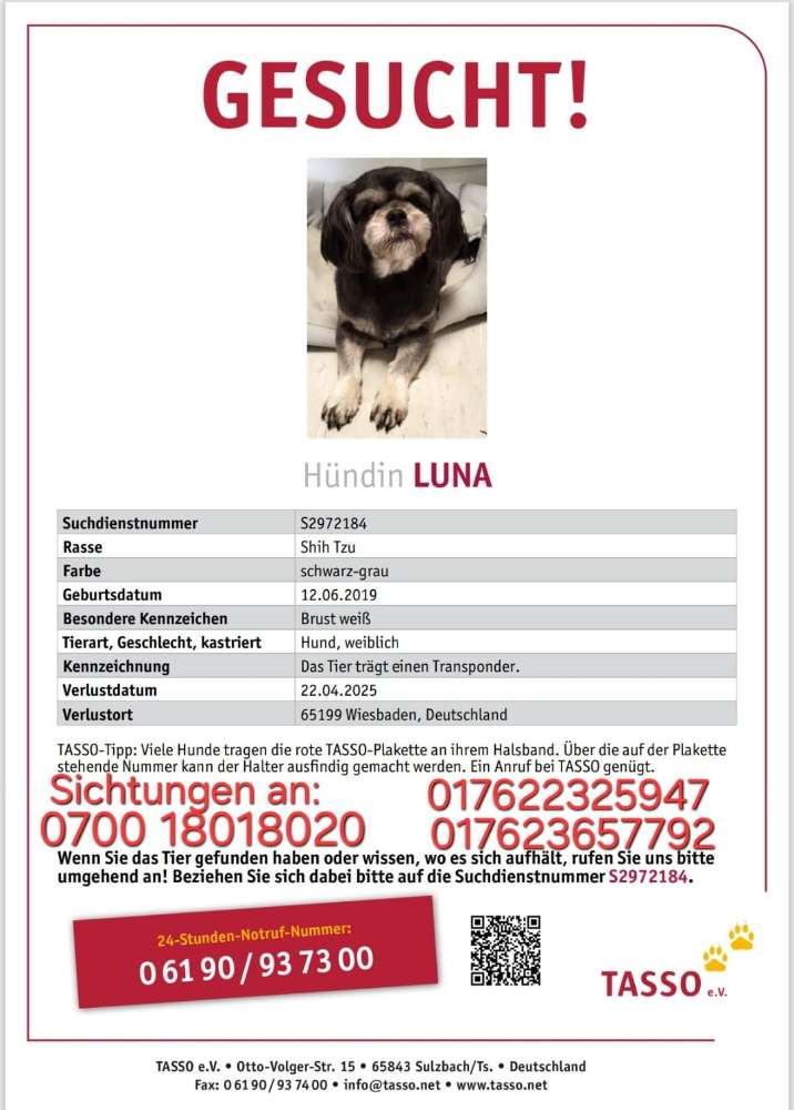 Suchmeldung-Luna-Profilbild