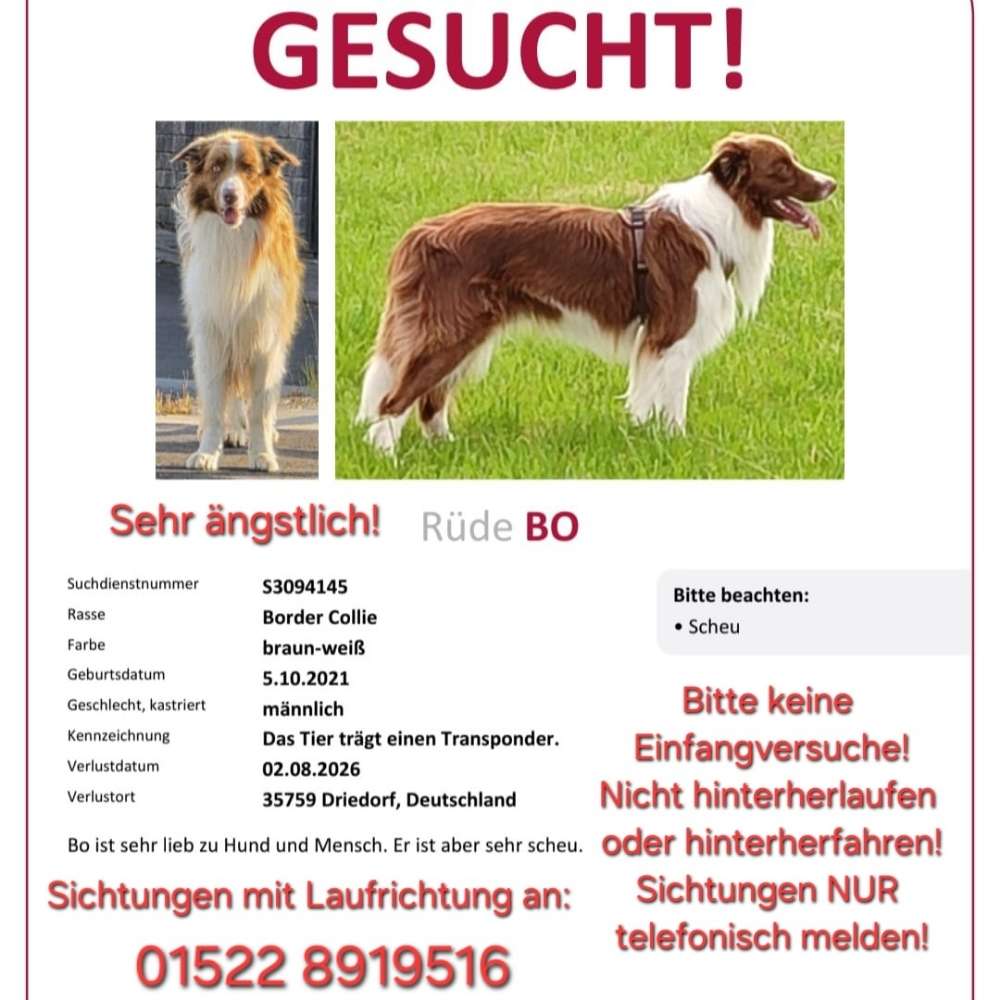 Suchmeldung-Bo-Profilbild