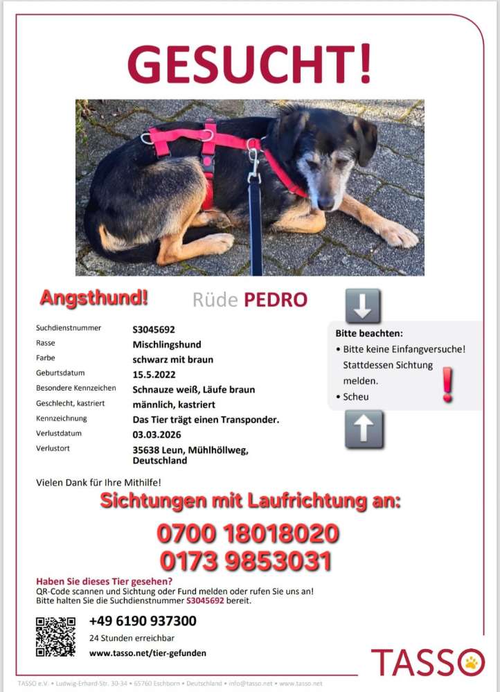 Suchmeldung-Pedro-Profilbild