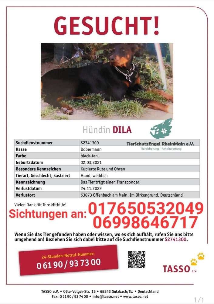 Suchmeldung-Dila-Profilbild
