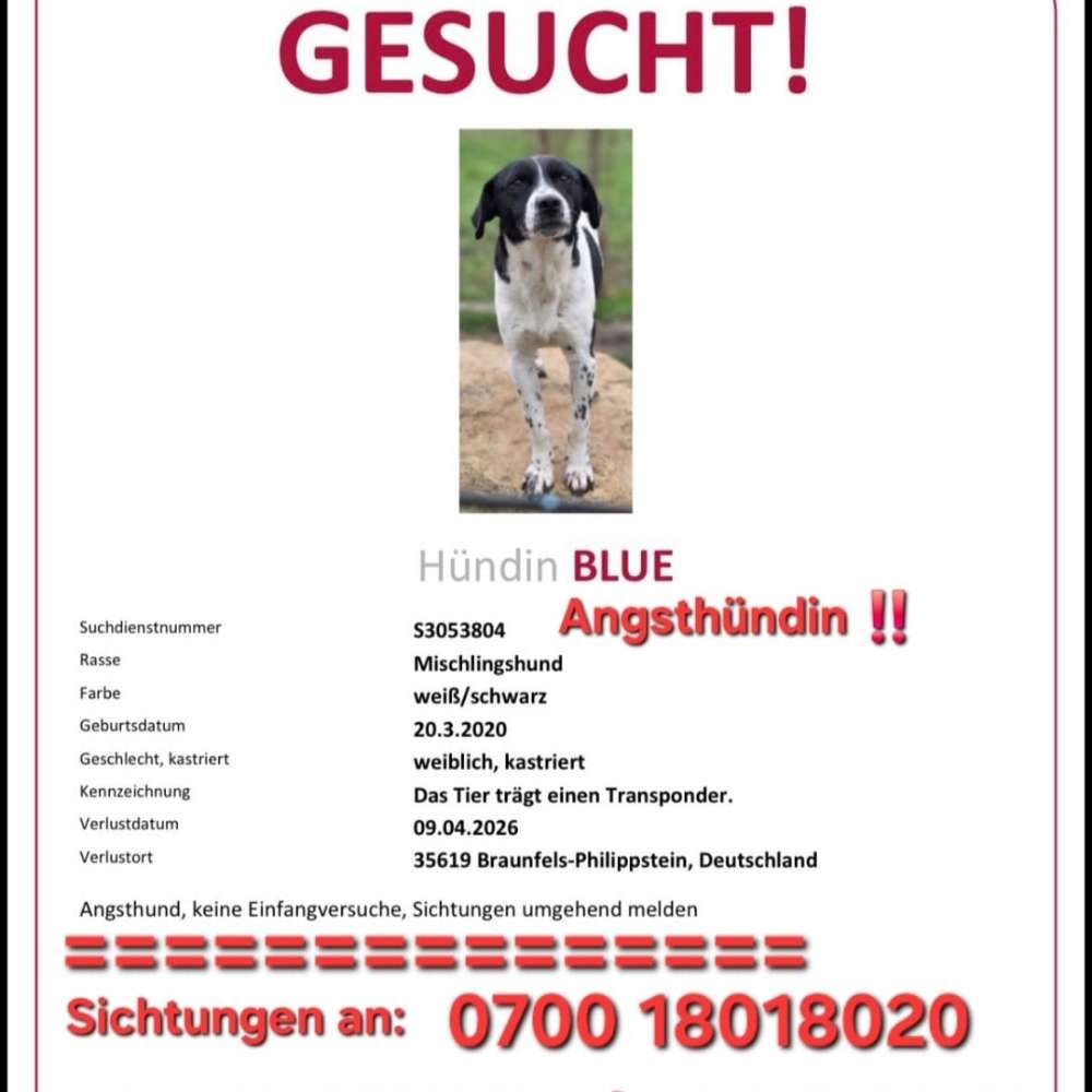 Suchmeldung-Blue-Profilbild