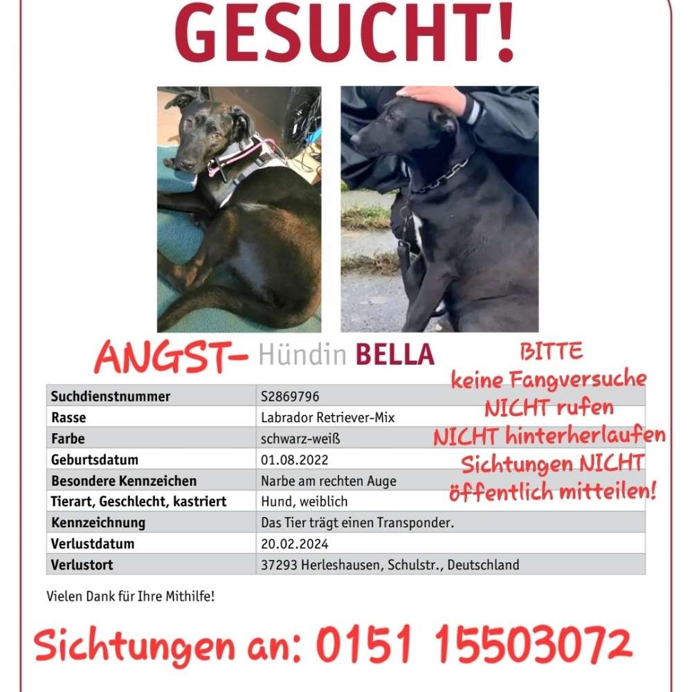 Suchmeldung-Bella-Profilbild