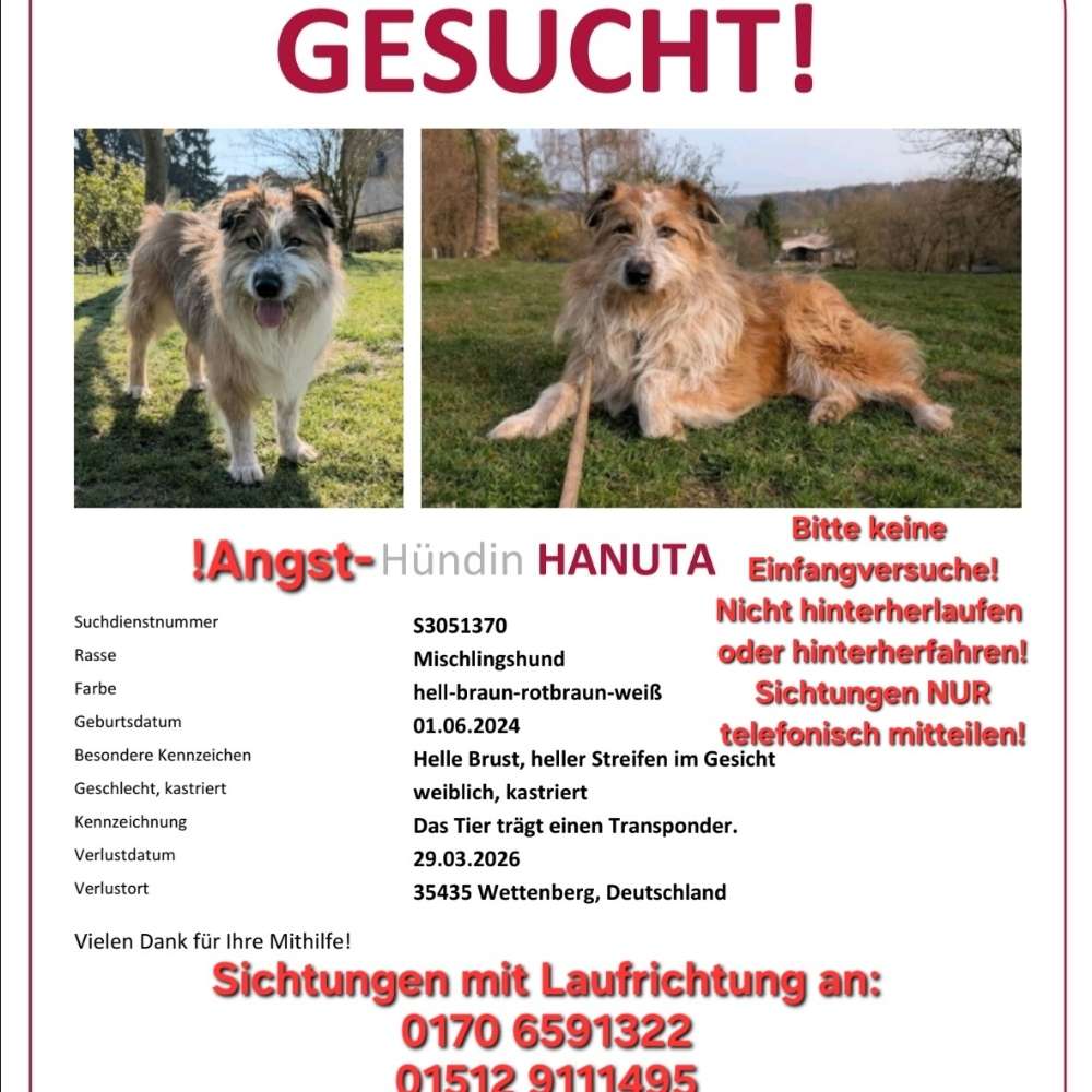 Suchmeldung-Hanuta-Profilbild