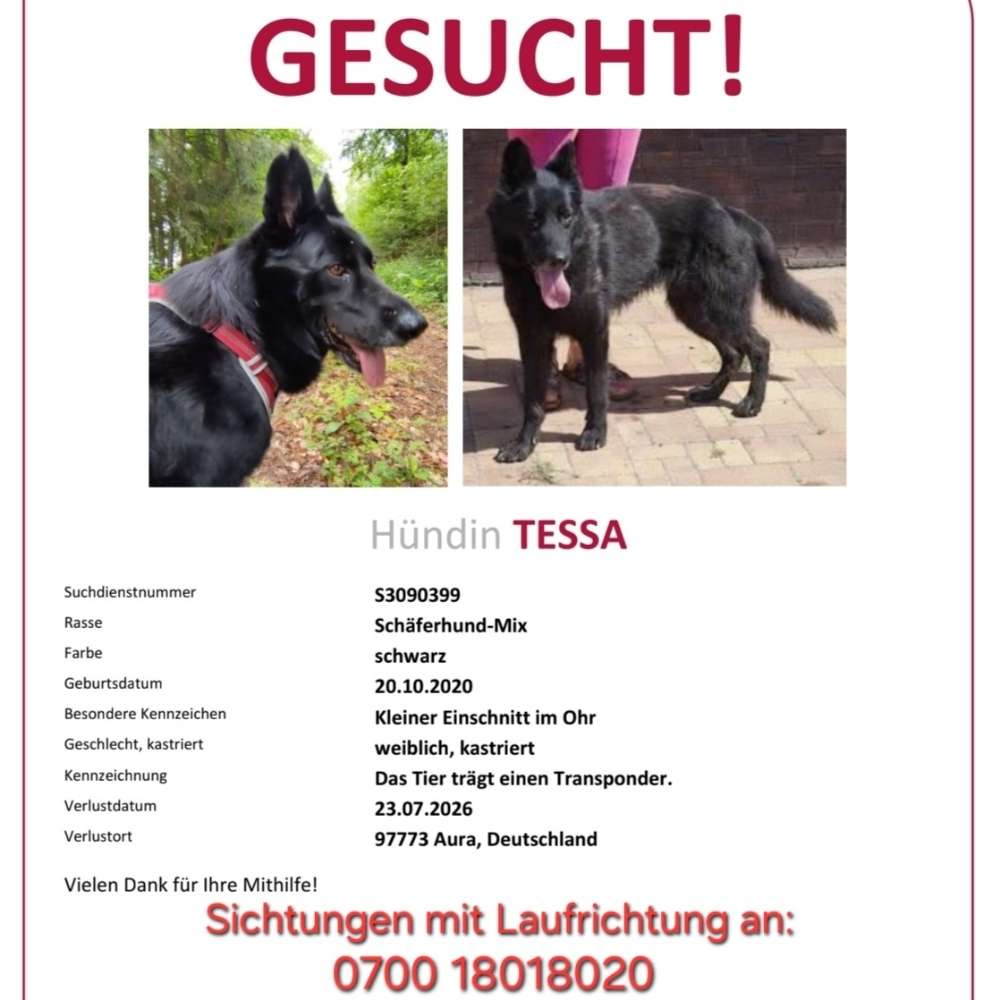 Suchmeldung-Tessa-Profilbild