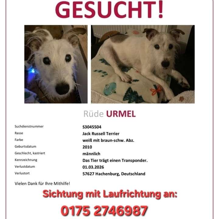 Suchmeldung-Urmel-Profilbild