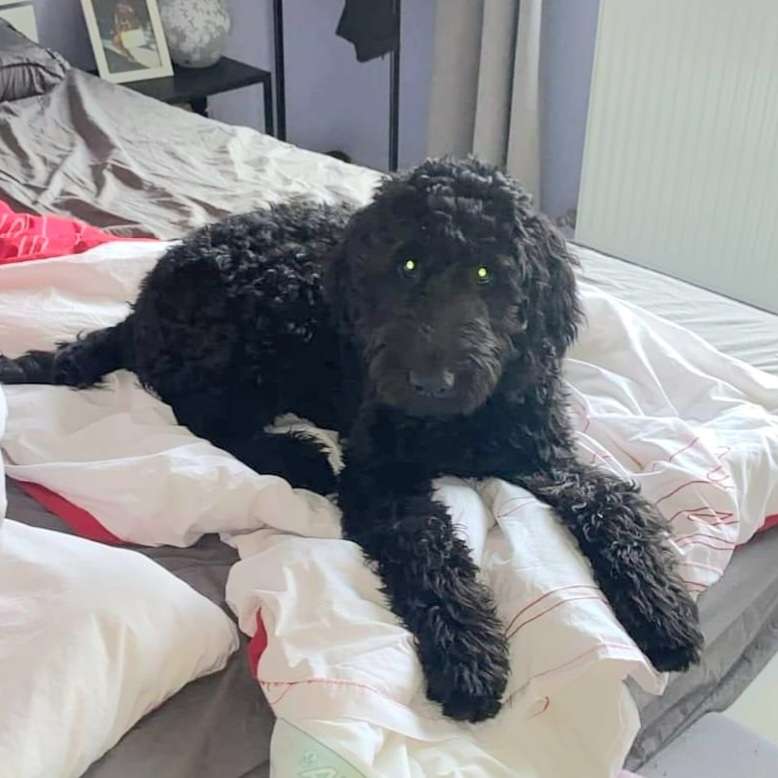 Suchmeldung-Luke-Profilbild