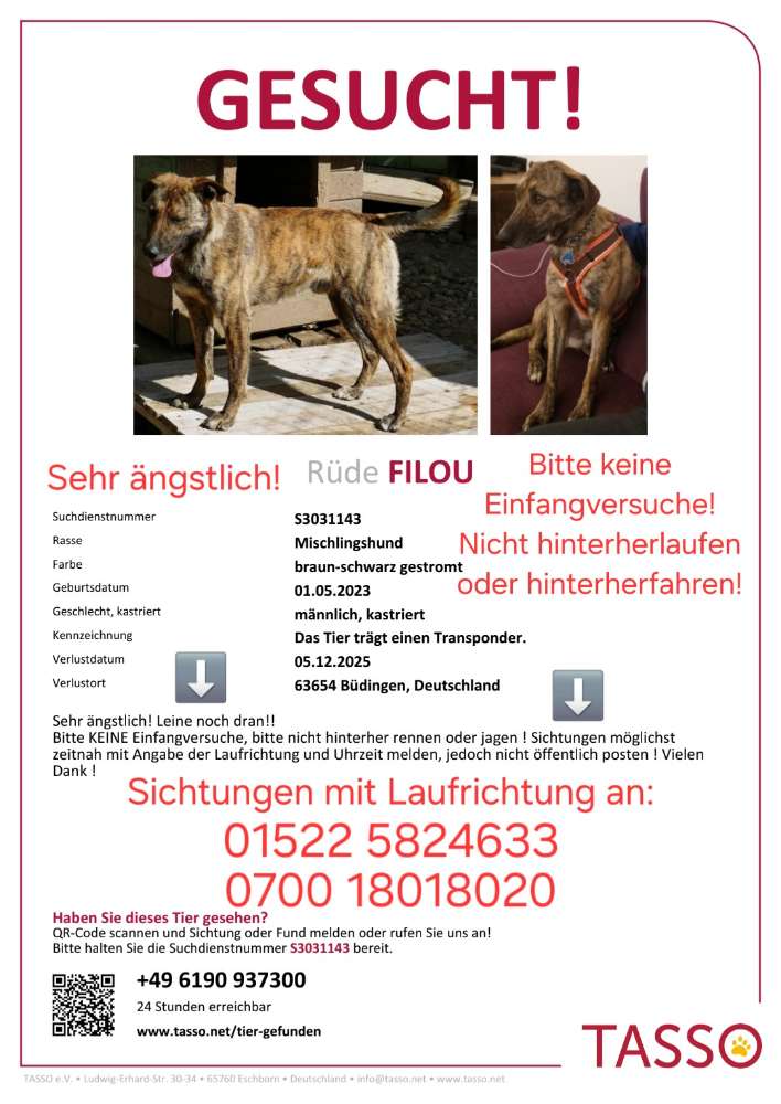 Suchmeldung-Filou-Profilbild