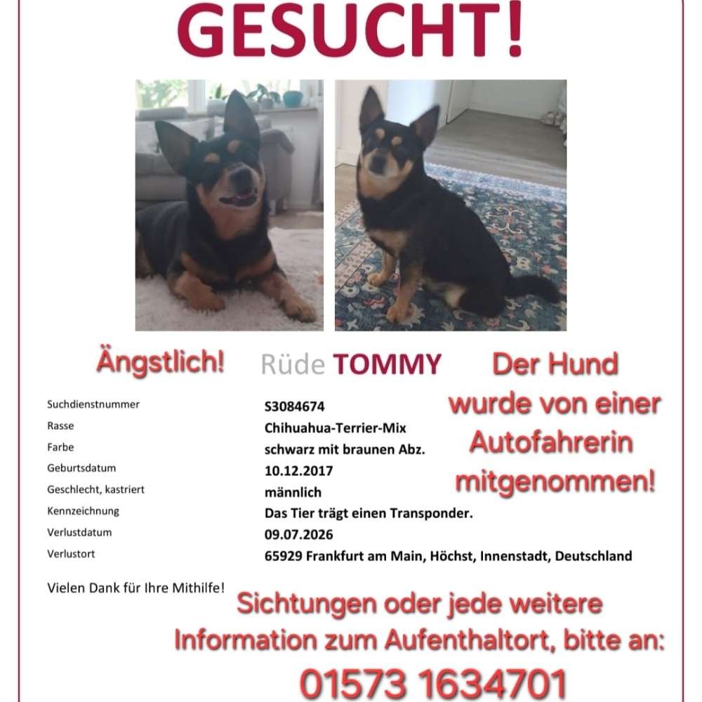 Suchmeldung-Tommy-Profilbild
