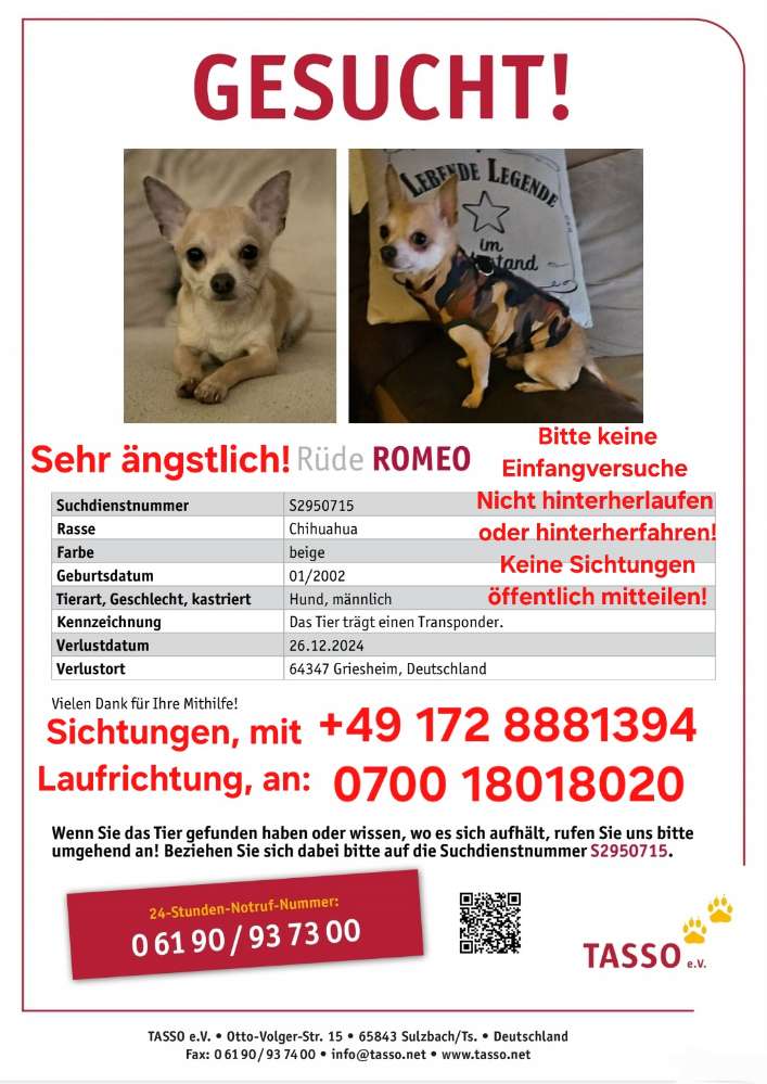 Suchmeldung-Romeo-Profilbild