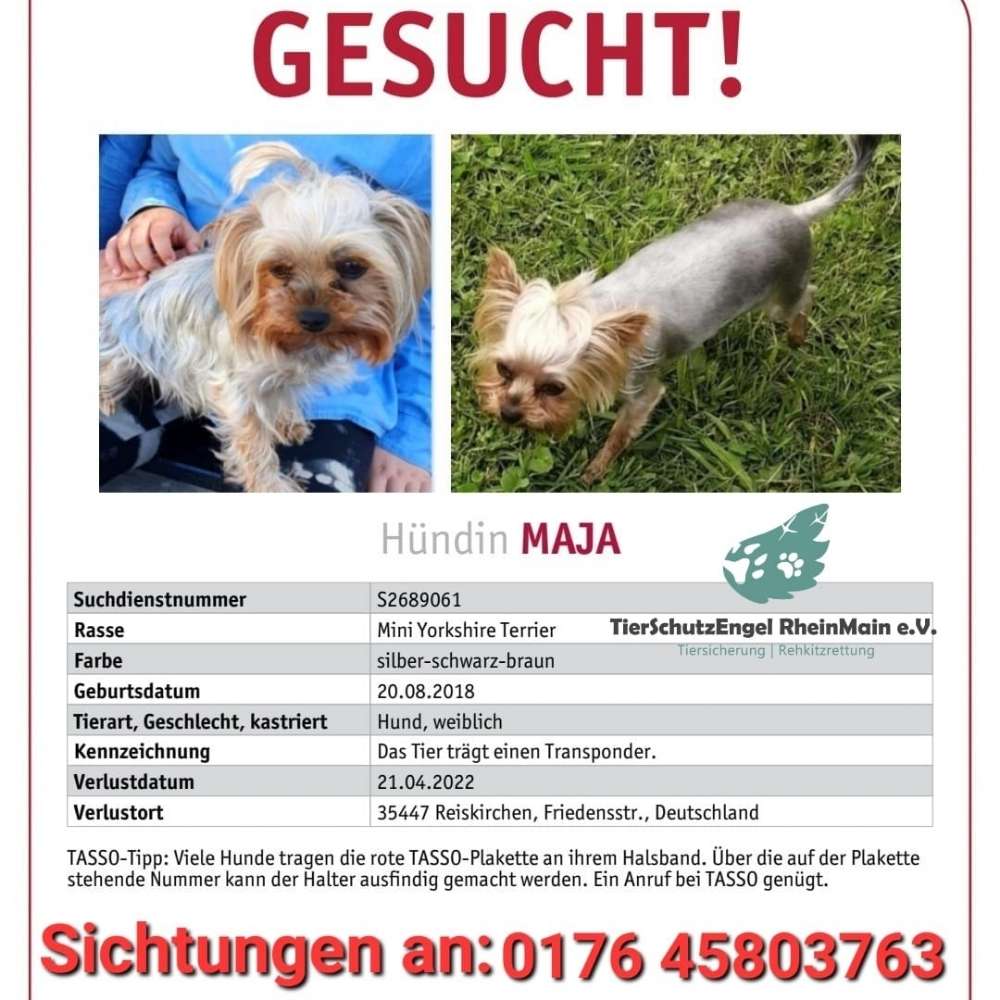 Suchmeldung-Maja-Profilbild
