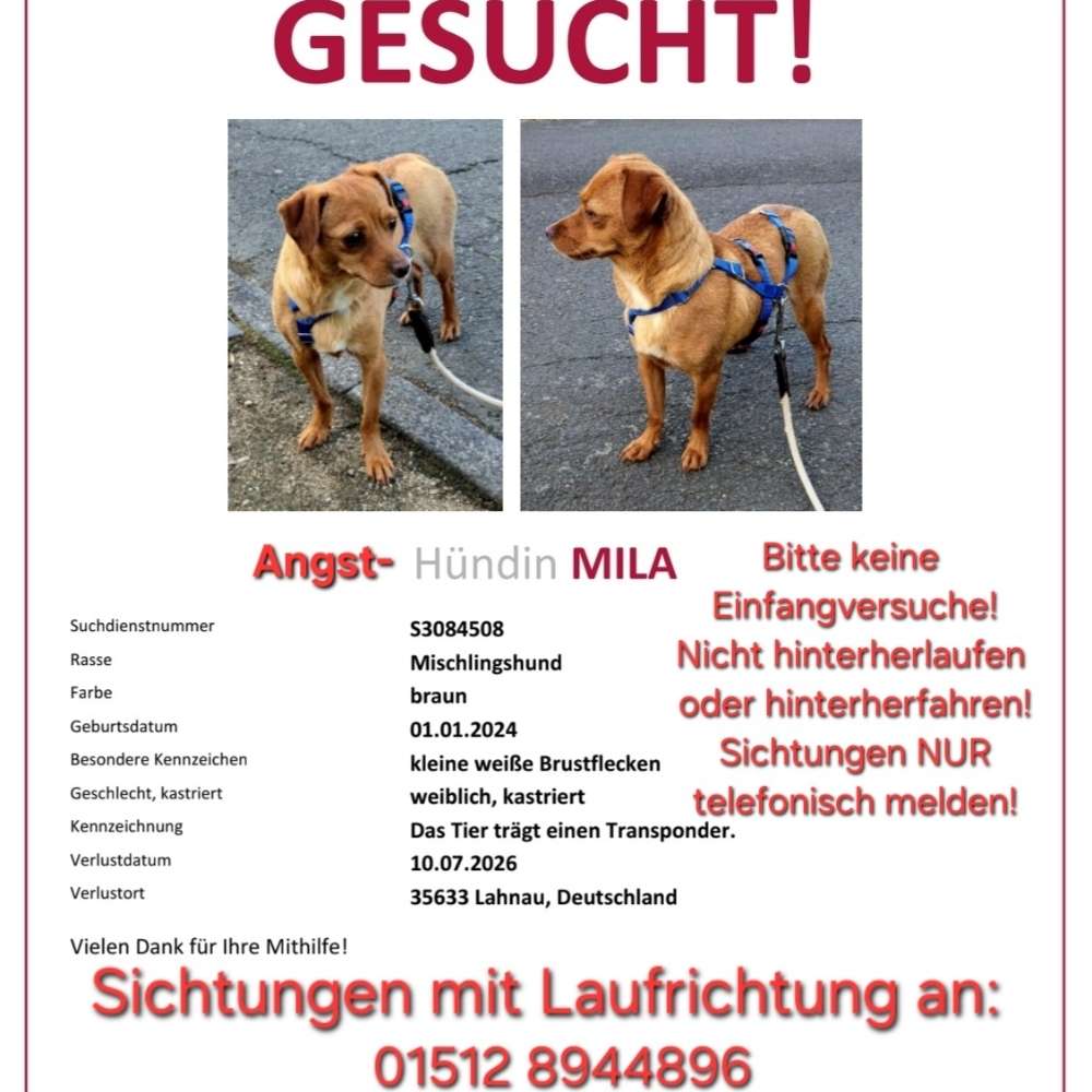 Suchmeldung-Mila-Profilbild