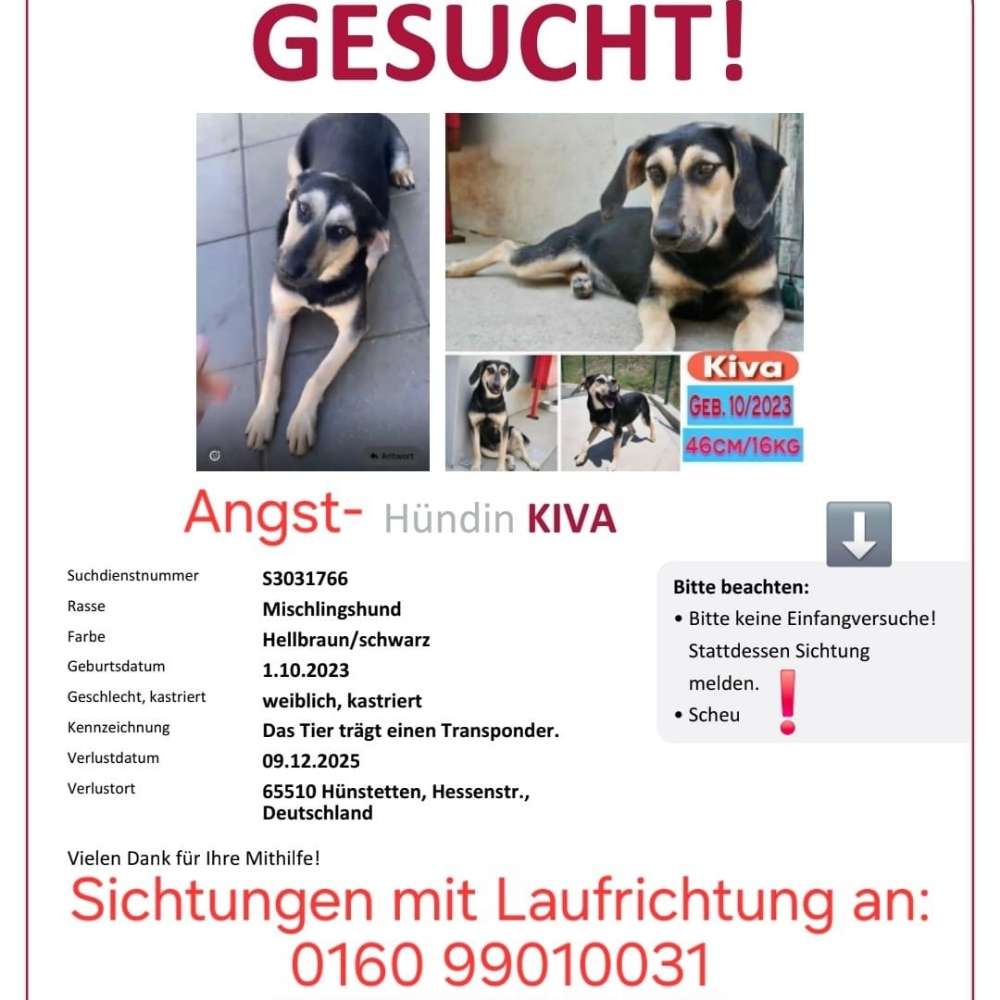Suchmeldung-Kiva-Profilbild