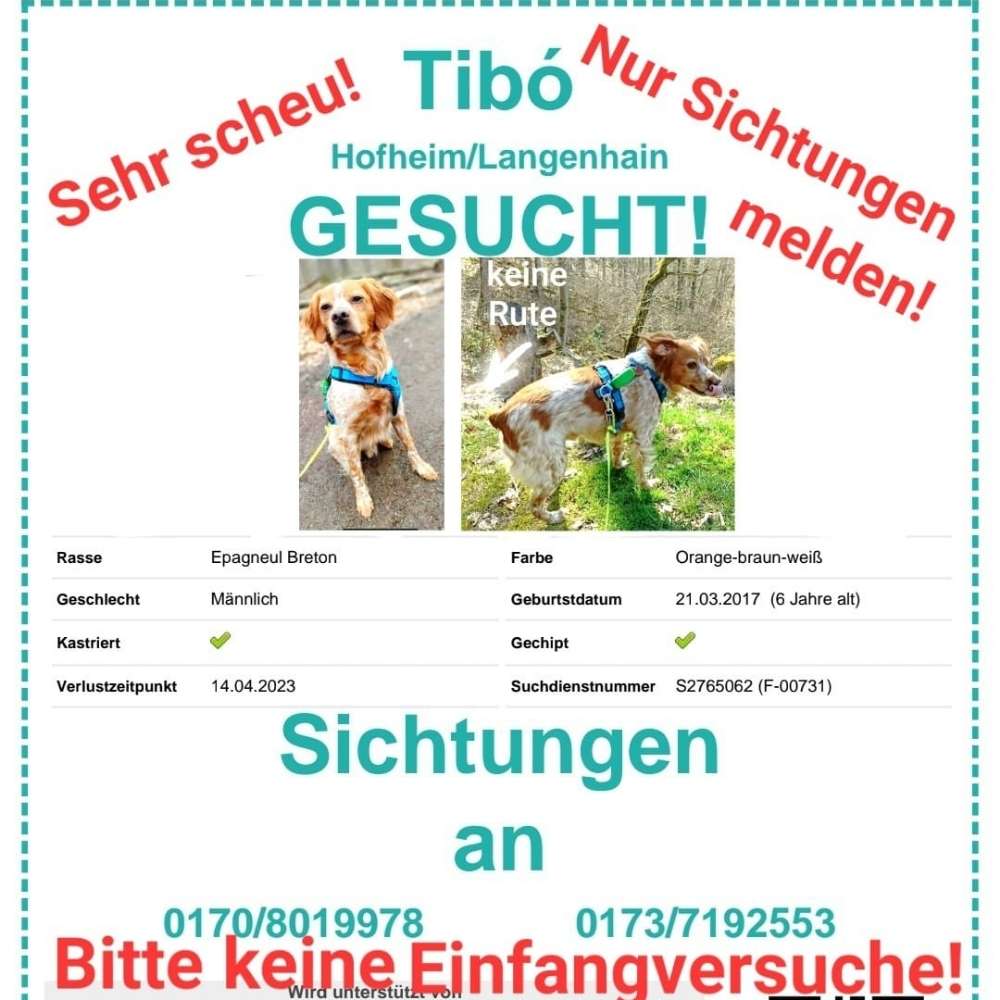 Suchmeldung-Tibó-Profilbild