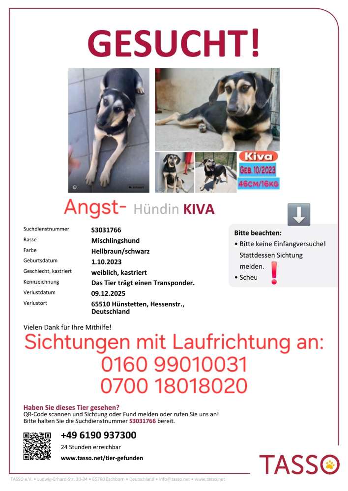 Suchmeldung-Kiva-Profilbild