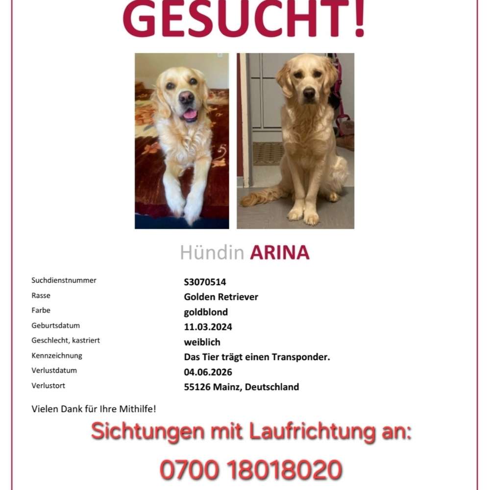 Suchmeldung-Arina-Profilbild