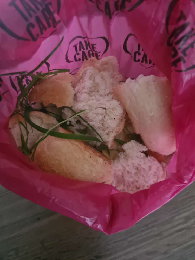 Giftköder-GIFTKÖDER? Schulzentrum Kirchlinde-Profilbild