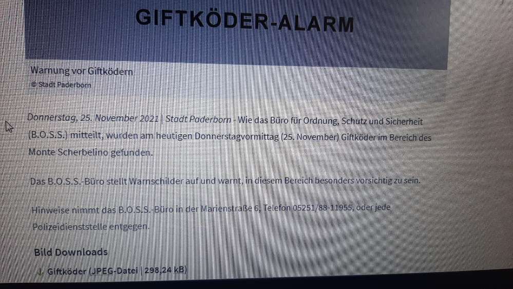 Giftköder-Giftköder (Stadt Paderborn bestätigt)-Profilbild