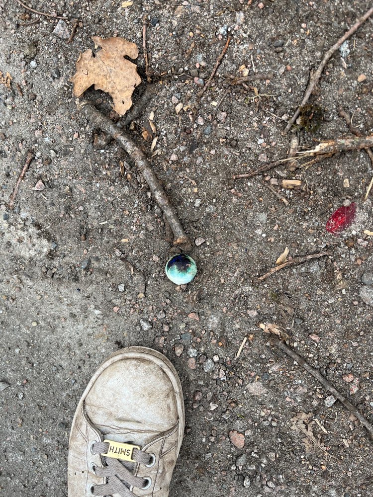 Giftköder-Giftköder-Profilbild