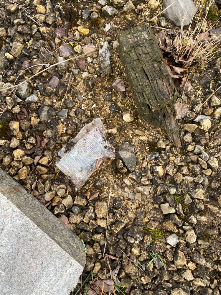 Giftköder-Rattengift ausgelegt-Profilbild