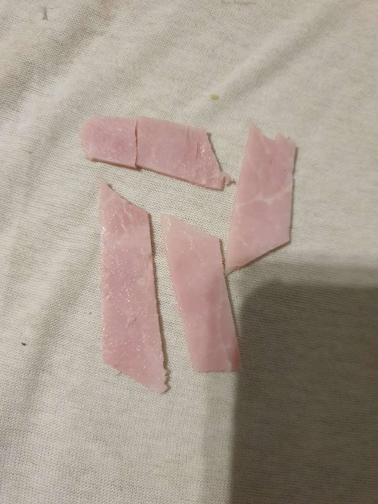 Giftköder-Möglicher Giftköder-Profilbild