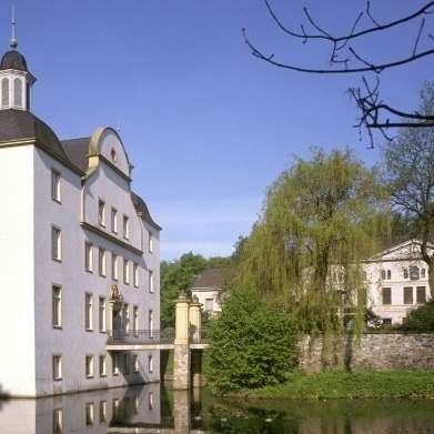 Hundetreffen-Welpentreffen / Welpenspiele-Profilbild