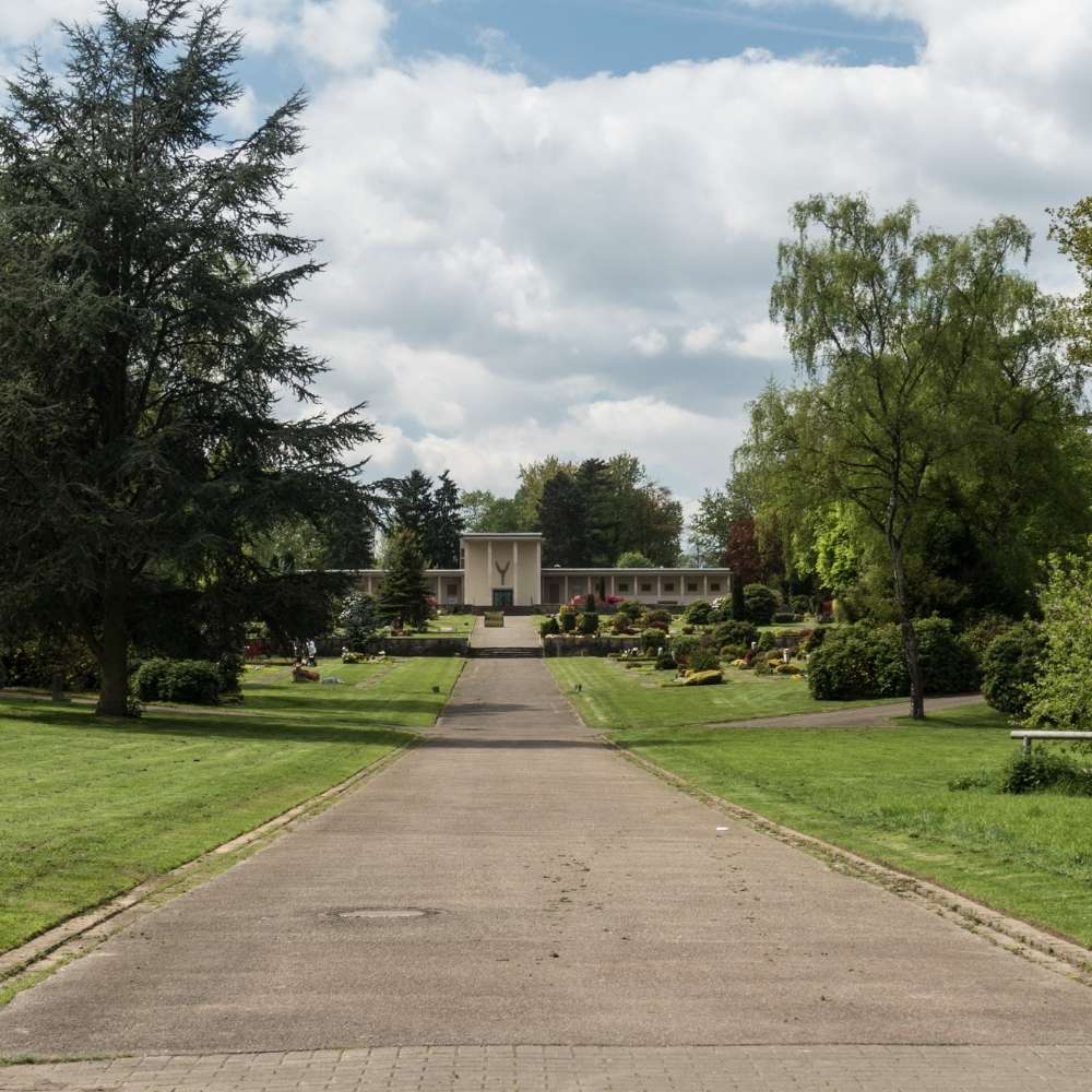 Hundetreffen-Entspannter Social Walk-Profilbild