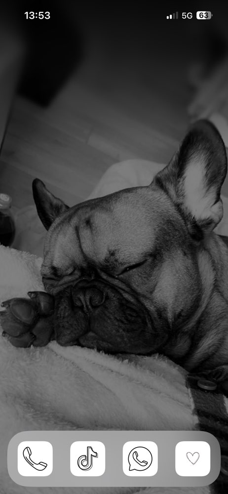 Hundetreffen-Spiel treffen & Gassi gehen-Profilbild