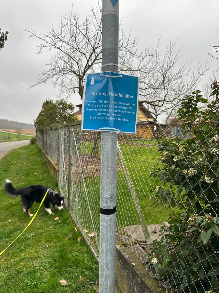 Giftköder-Fuchsräudewarnung-Profilbild