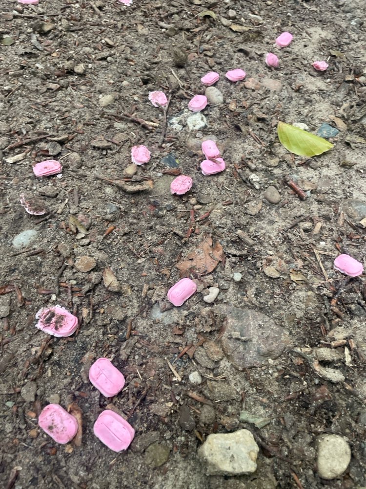 Giftköder-Rosafarbene Drops-Profilbild