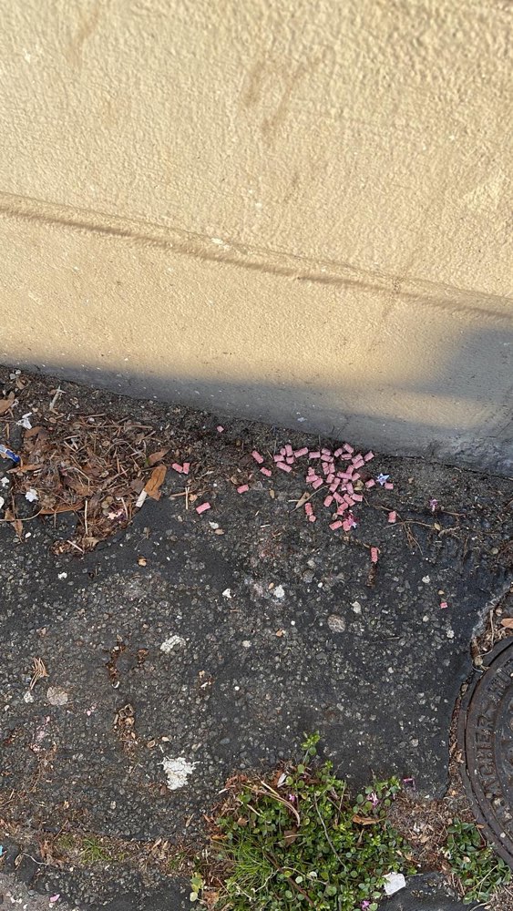 Giftköder-Erneut etwas ausgelegt (evt. Giftköder)-Profilbild