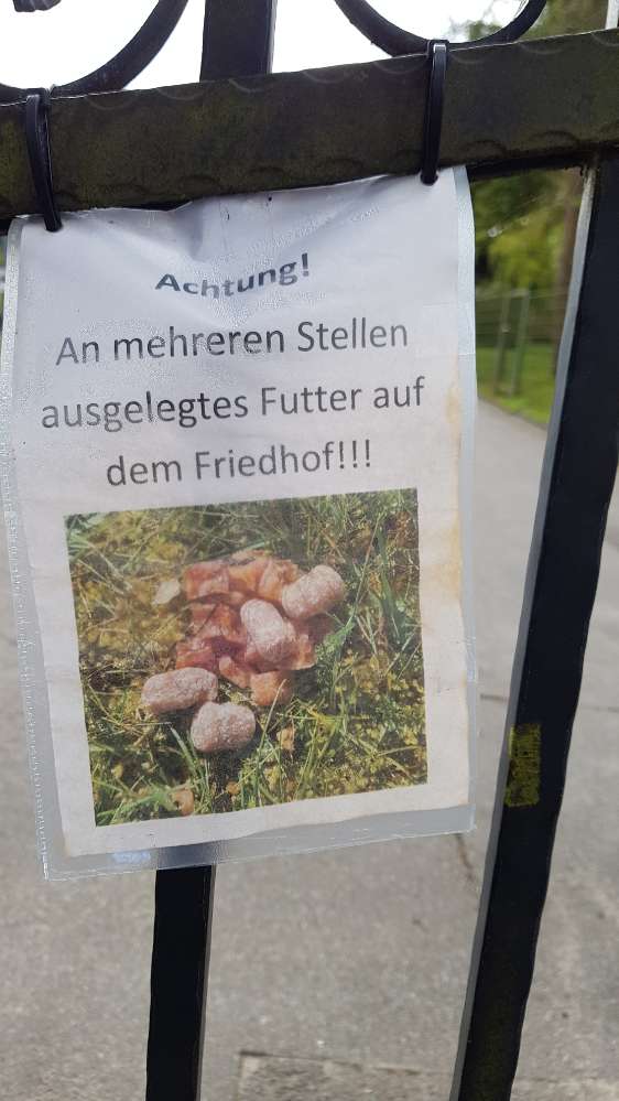 Giftköder-Mögliche Giftköder-Profilbild