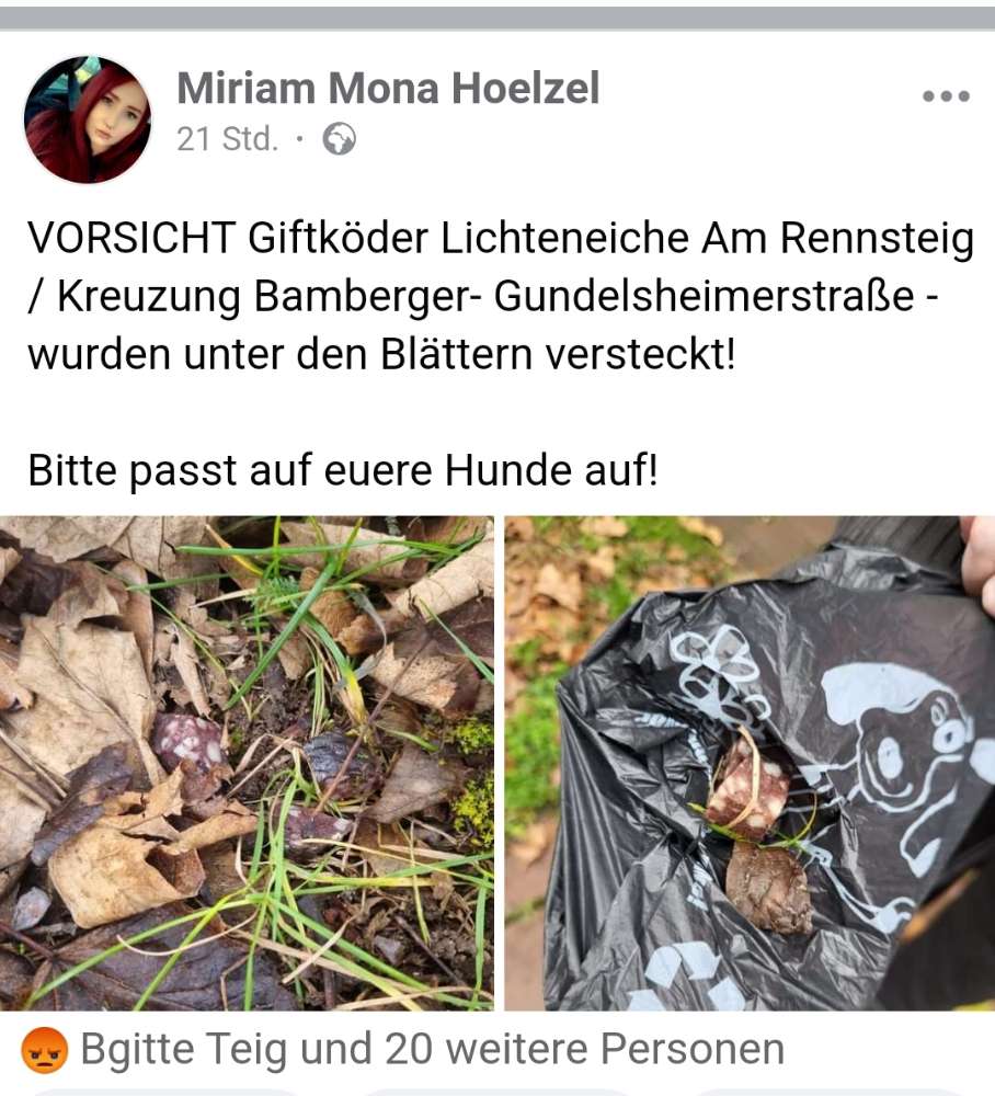 Giftköder-Giftköder-Profilbild