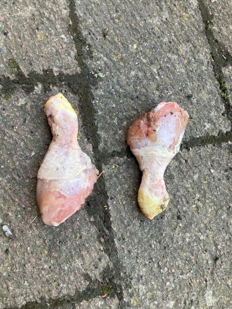 Giftköder-Rohe Hähnchenschenkel-Profilbild