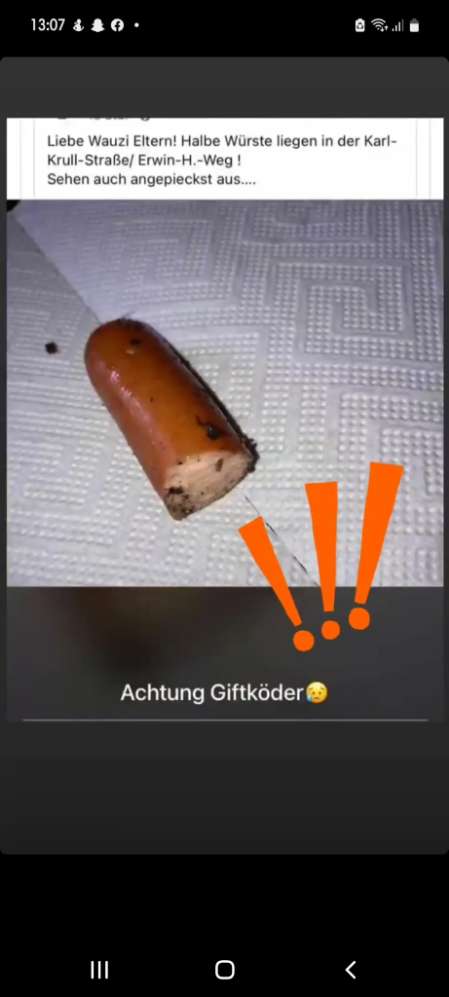 Giftköder-Giftköder-Profilbild