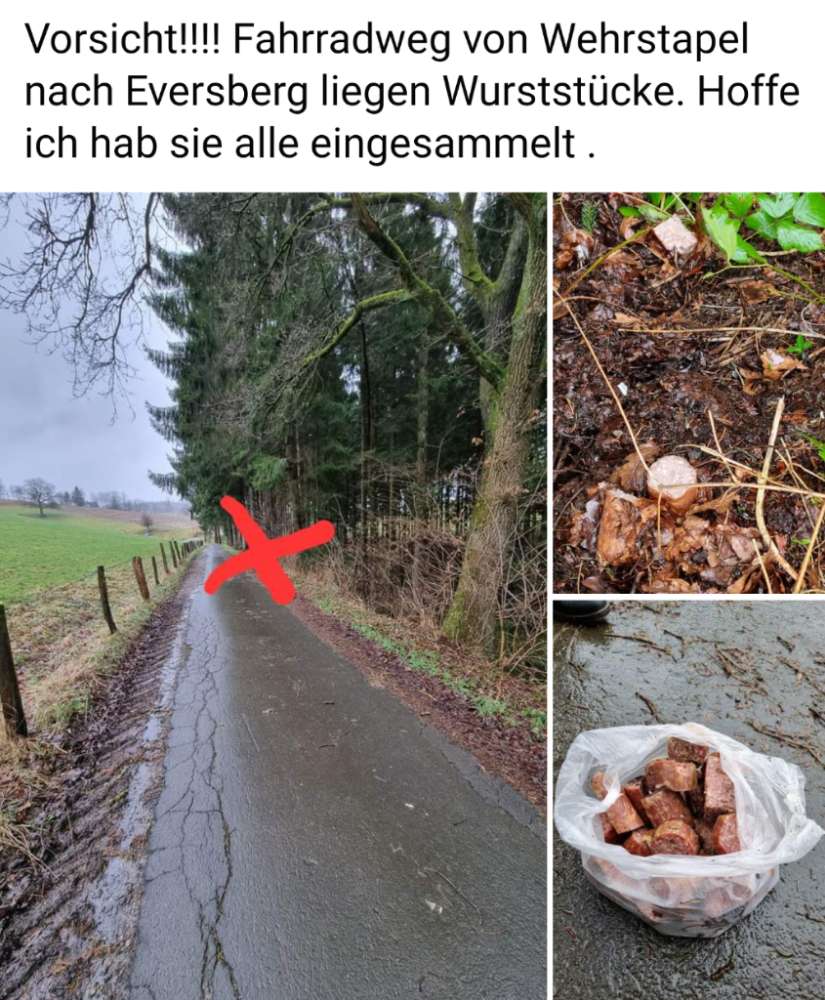 Giftköder-Wurststücke-Profilbild